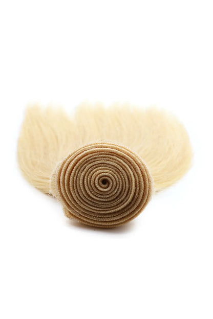 Brazilian Hair Bundle 613 Blonde Straight 10A